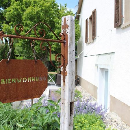 Ferienwohnung Im Weingewoelbe Staufen im Breisgau Kültér fotó