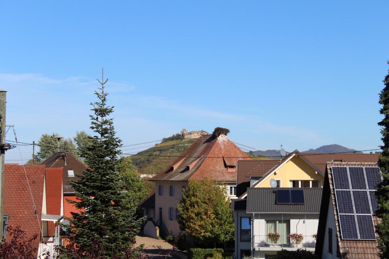 Ferienwohnung Im Weingewoelbe Staufen im Breisgau Kültér fotó